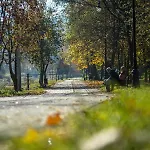 Przy Parku Apartment Muszyna