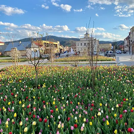 Przy Parku * Muszyna