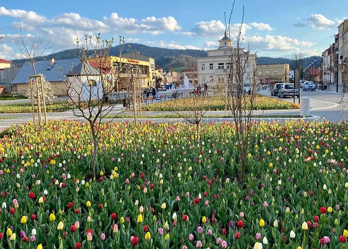 Przy Parku * Muszyna