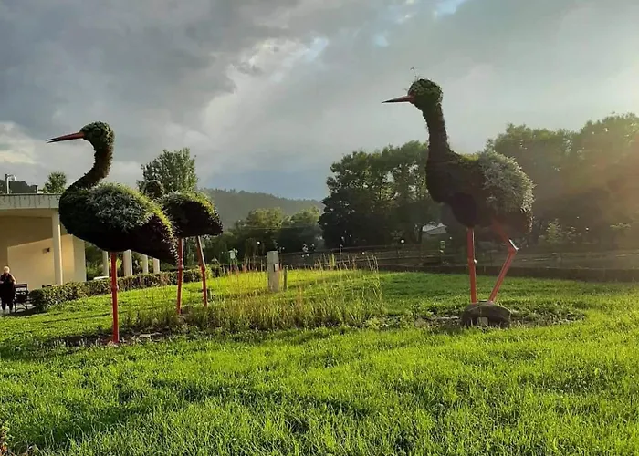 Lägenhet Przy Parku Muszyna